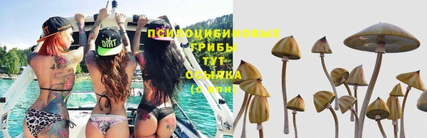 СК Протвино