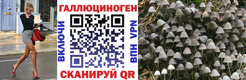Галлюциногенные грибы ЛСД  купить наркотик  Лабытнанги 