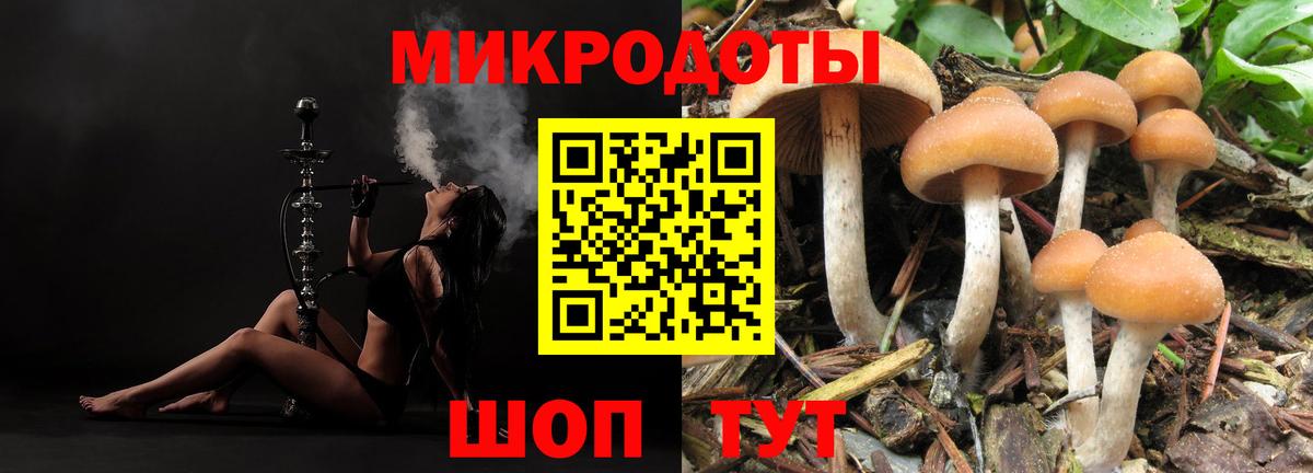 Галлюциногенные грибы прущие грибы  Вход с VPN  Лабытнанги 