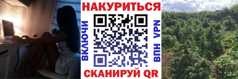 Конопля ГИДРОПОН Лабытнанги
